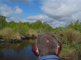 A ride in an Air Boat through the Everglades * A ride in an Air Boat through the Everglades * 1 x 1 * (11.08MB)