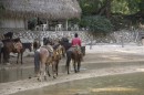 Horses * Horses from the horseback to the waterfall at Yelapa. * 3076 x 2052 * (4.1MB)